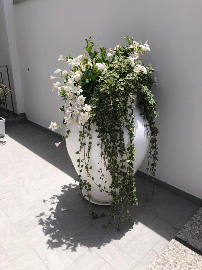 Il Fiore Bianco Capo dʼOrlando Exterior foto